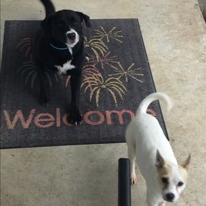 Meet your Posher, Jayden